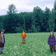 A 1985 photo of an Olympia, WA, meadow sparsely populated with hippies. By 1996, the meadow was destroyed, its topsoil stripped clean by migratory hippie herds numbering in the thousands.